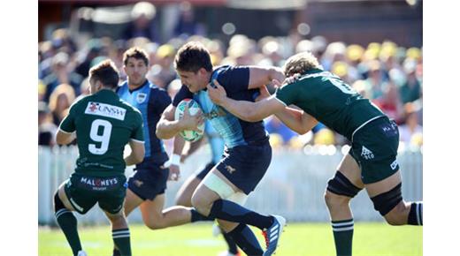 Amistoso – Los Pumas golearon en su último partido de preparación para el Mundial