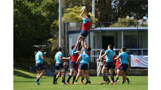 Amistoso – Las fotos del entrenamiento de Los Pumas en Sidney