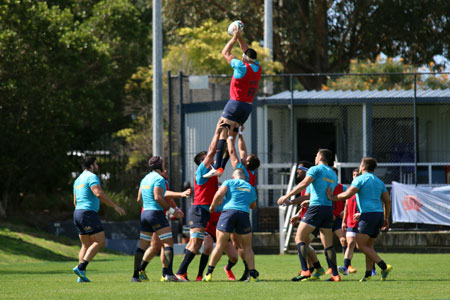 Amistoso – Las fotos del entrenamiento de Los Pumas en Sidney