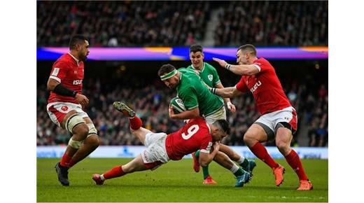 Irlanda jugó un gran partido y bajó al campeón