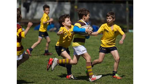 Modificaciones en el Reglamento del Rugby Infantil