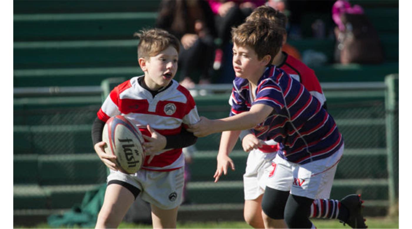 EL CONGRESO DE RUGBY INFANTIL SE LLEVÓ ADELANTE EN CÓRDOBA