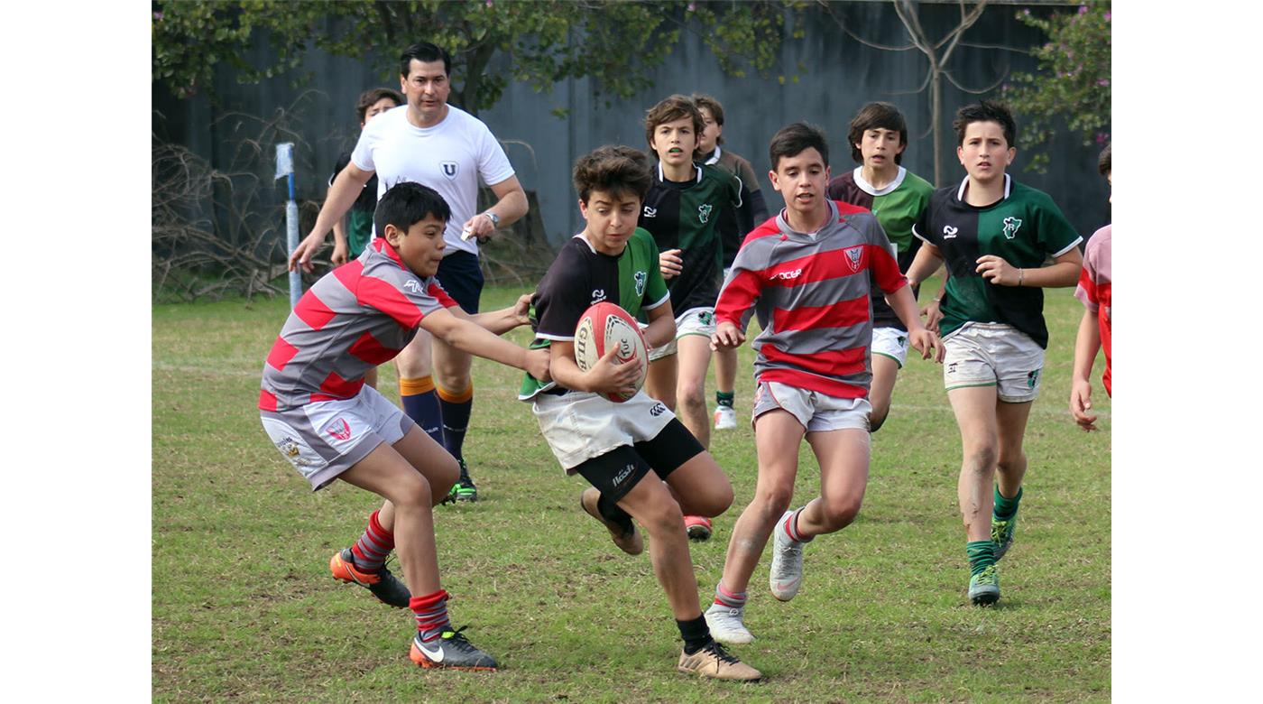 Unión de Rugby de Tucumán: Los infantiles salen a la cancha con el 1° encuentro virtual