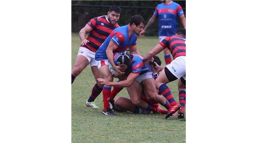 Los resultados de los torneos femininos y masculinos de la Unión de Rugby de Cuyo 