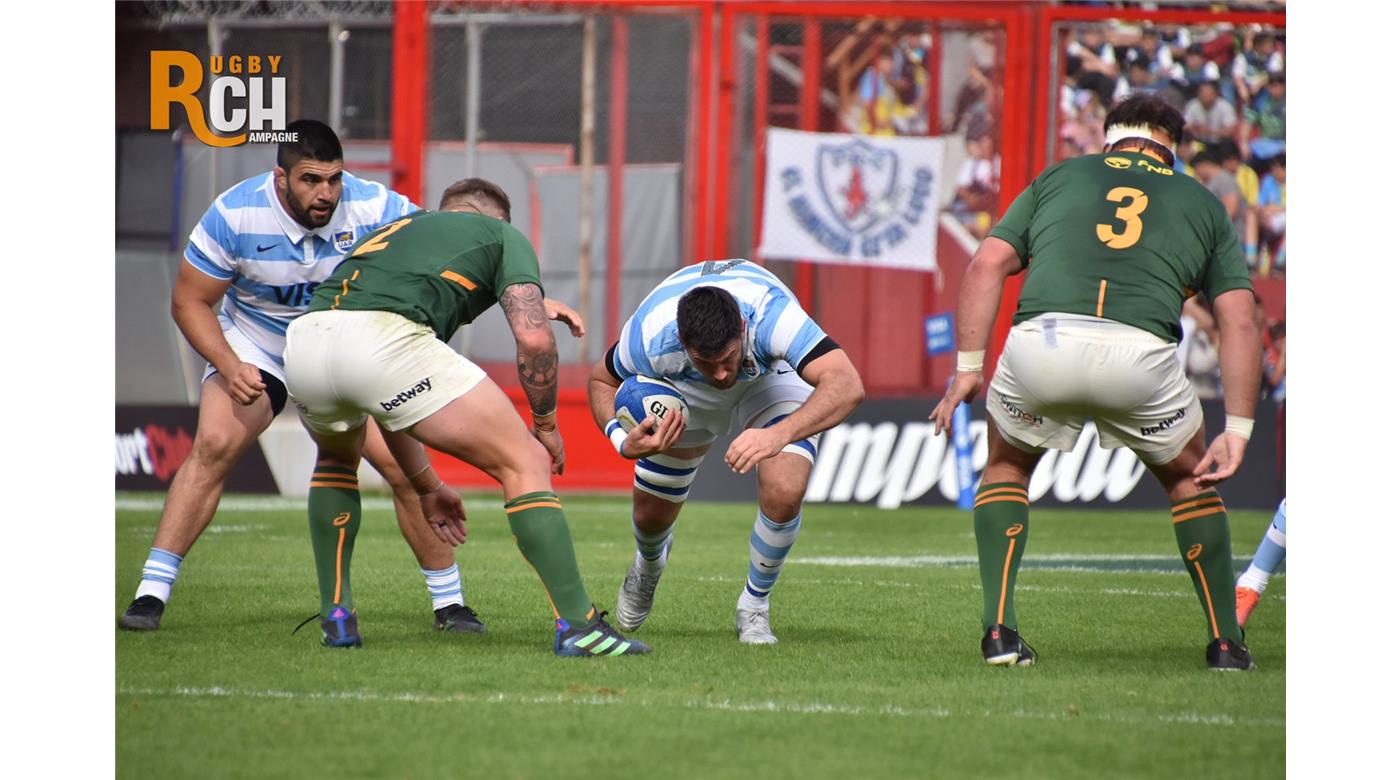 LOS PUMAS CAYERON DOS PUESTOS EN EL RÁNKING Y ESTÁN OCTAVOS