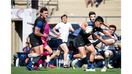 LOS PUMAS 