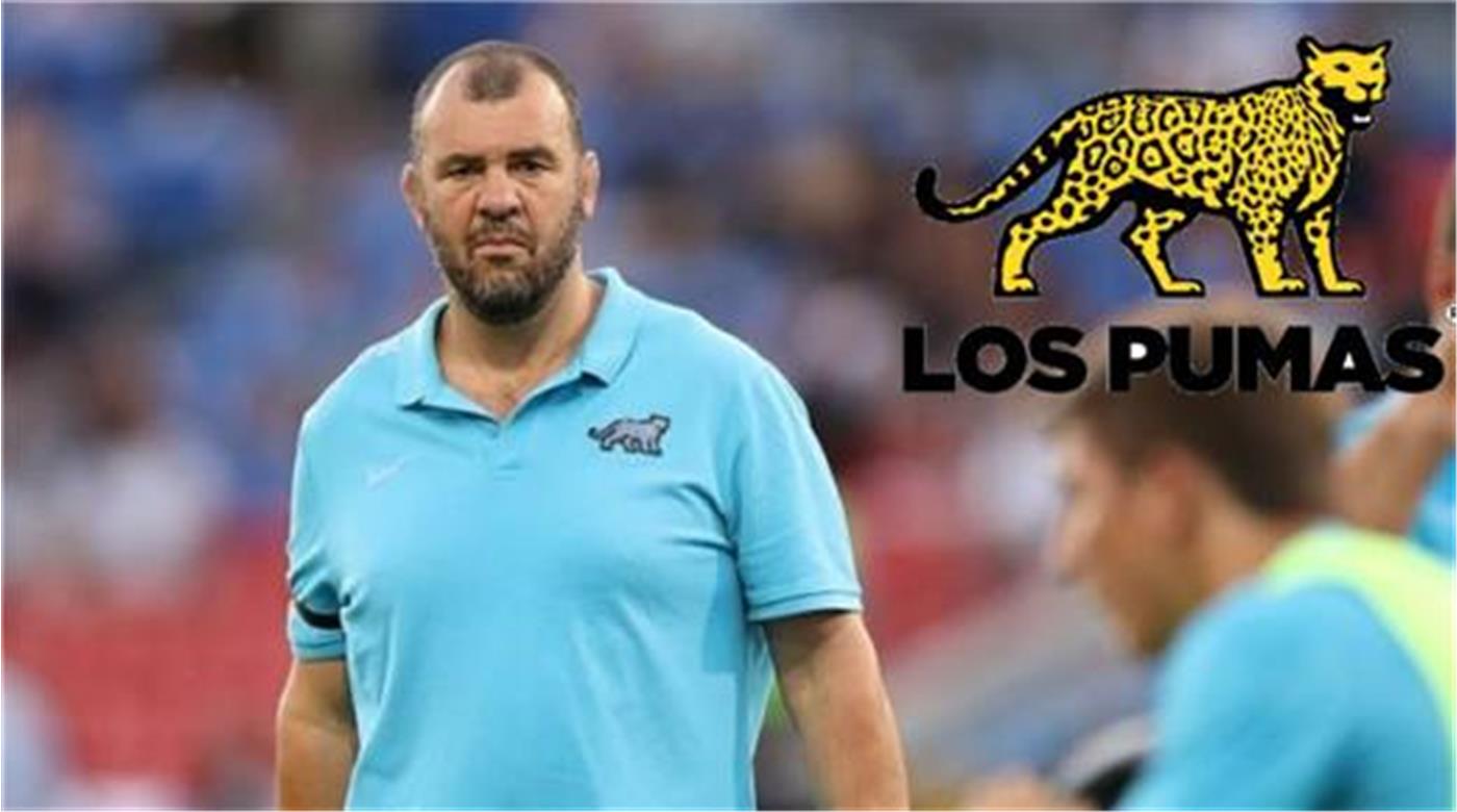 MICHAEL CHEIKA: 