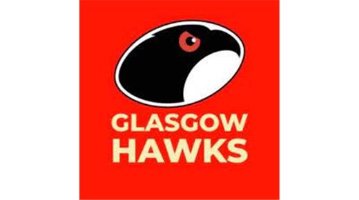 LOS HAWKS DE VISITA EN SUDAMÉRICA