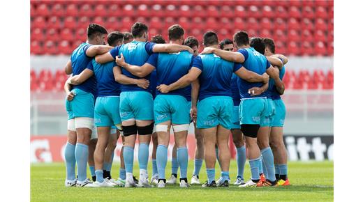 PUMAS DE EXPORTACIÓN 