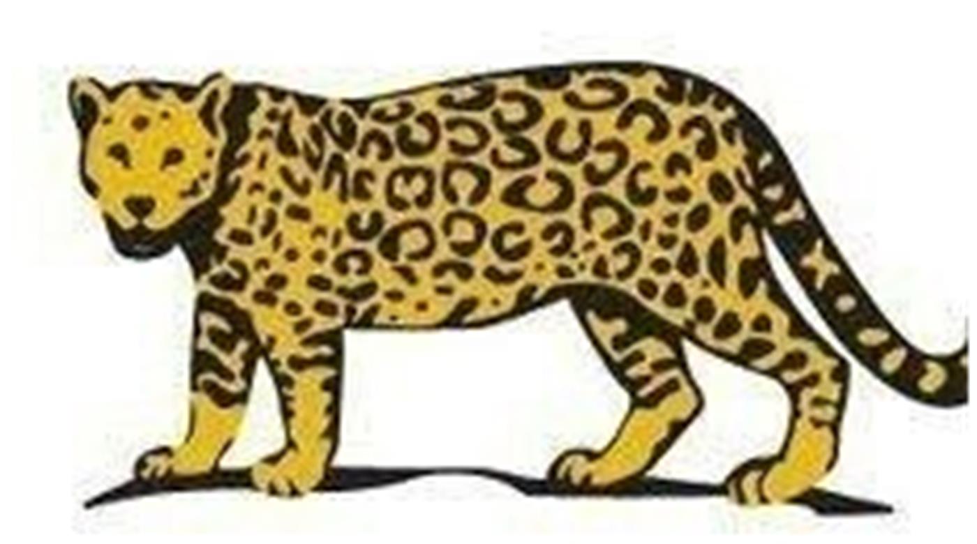 ¡FIRMÁ PARA QUE VUELVA EL YAGUARETÉ A LA CAMISETA DE LOS PUMAS!