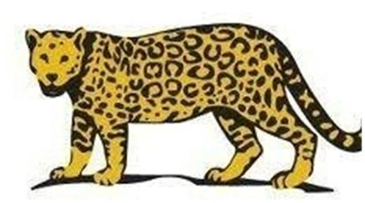 ESTA SERÁ LA QUINTA PRESENTACIÓN DE LOS PUMAS EN LOS CUARTOS DE FINAL DE UN MUNDIAL