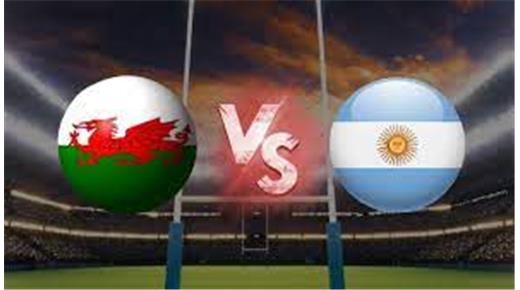 EL HISTORIAL DE LOS PUMAS VS GALES