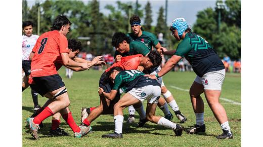 EL ARGENTINO JUVENIL Y TODOS LOS RESULTADOS 