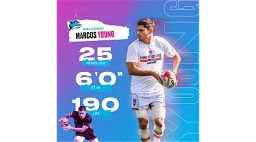 Marcos Young y Nicolás Elewaut se suman a Miami Sharks