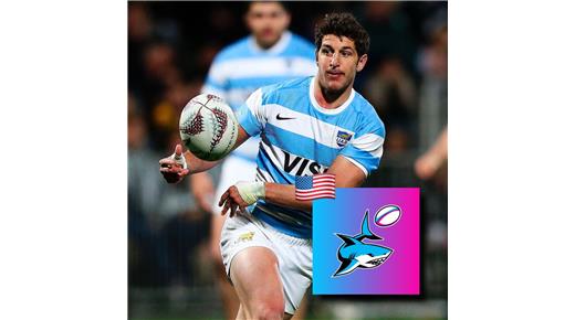 MIAMI SHARKS VA DE VISITA ANTE SEATTLE SEAWOLVES EN BUSCA DE SU PRIMER TRIUNFO EN LA MLR