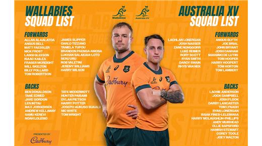 LOS WALLABIES TAMBIÉN TIENEN A SU PLANTEL PARA LA PRÓXIMA VENTANA