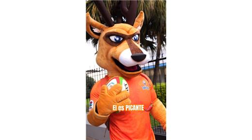 MIENTRAS TARUCAS PRESENTÓ A "EL PICANTE", SU MASCOTA, GARCÍA HAMILTON PADECE UNA ESGUINCE DE RODILLA