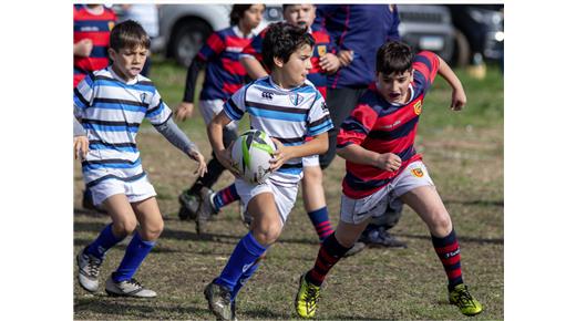 SE SUSPENDIÓ EL ENCUENTRO DE RUGBY INFANTIL DE M9 a M12 DE LA URBA