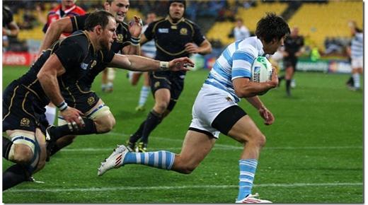 LOS PUMAS SE PREPARAN PARA SU SEGUNDO COMPROMISO DE NOVIEMBRE Y VAN POR LA IGUALDAD EN EL  HISTORIAL ANTE ESCOCIA 