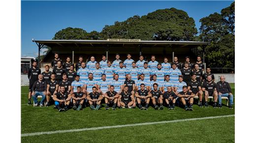 LOS PUMAS Y SU BUENA TEMPORADA EN NÚMEROS