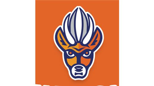 TARUCAS Y EL PARTE MÉDICO LUEGO DE LOS AMISTOSOS ANTE DOGOS