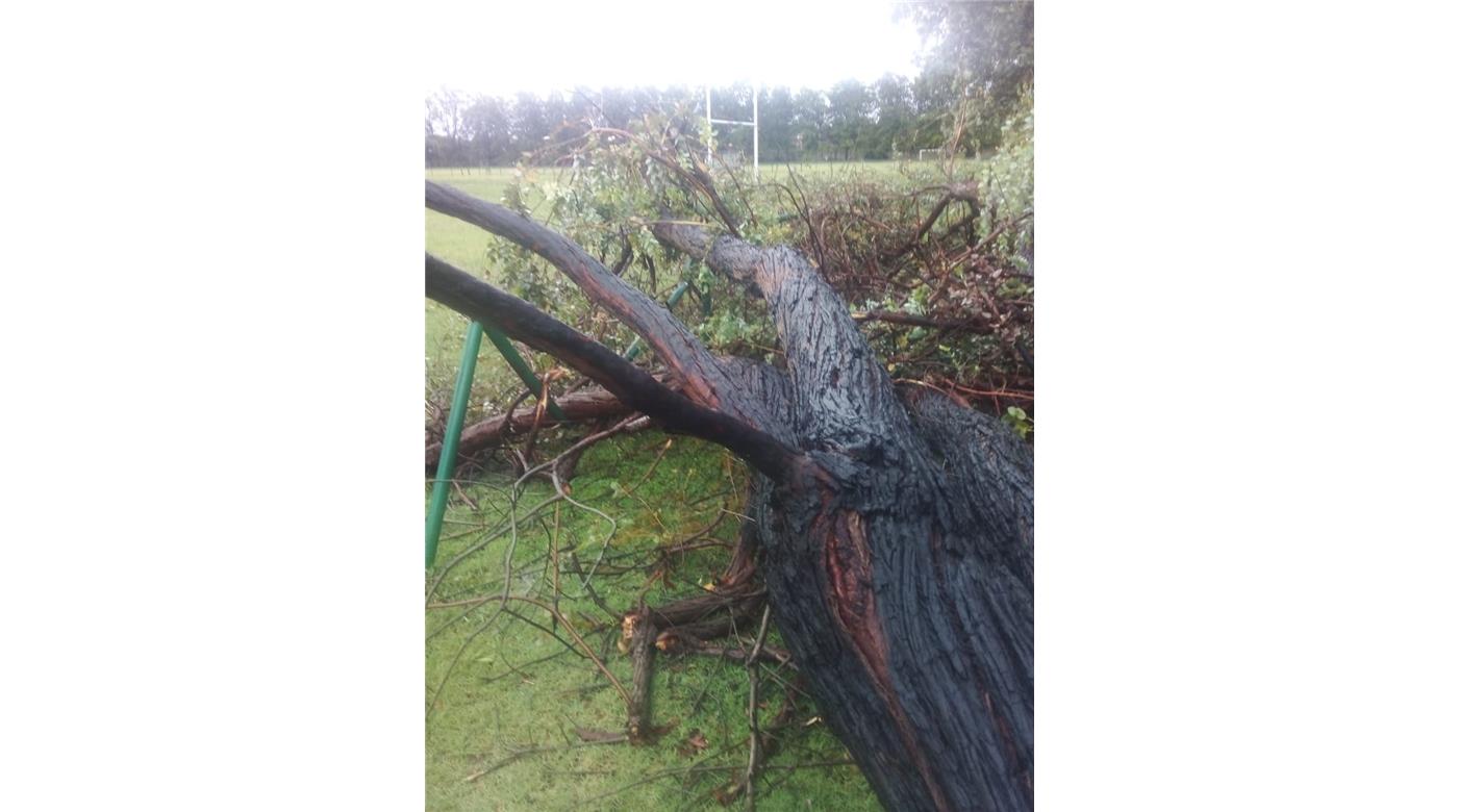 DESTROZOS EN VARIOS CLUBES DE RUGBY LUEGO DEL TEMPORAL QUE AZOTÓ A TODO EL PAÍS