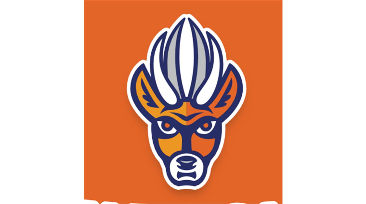 LA FRANQUICIA DEL NOA, TARUCAS, Y SU SEMANA DE ENTRENAMIENTO