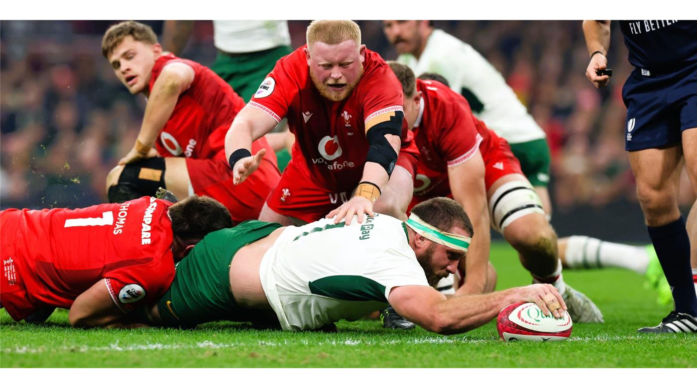 SUDÁFRICA GOLEÓ A GALES PARA CERRAR EL AÑO DE LA MEJOR MANERA